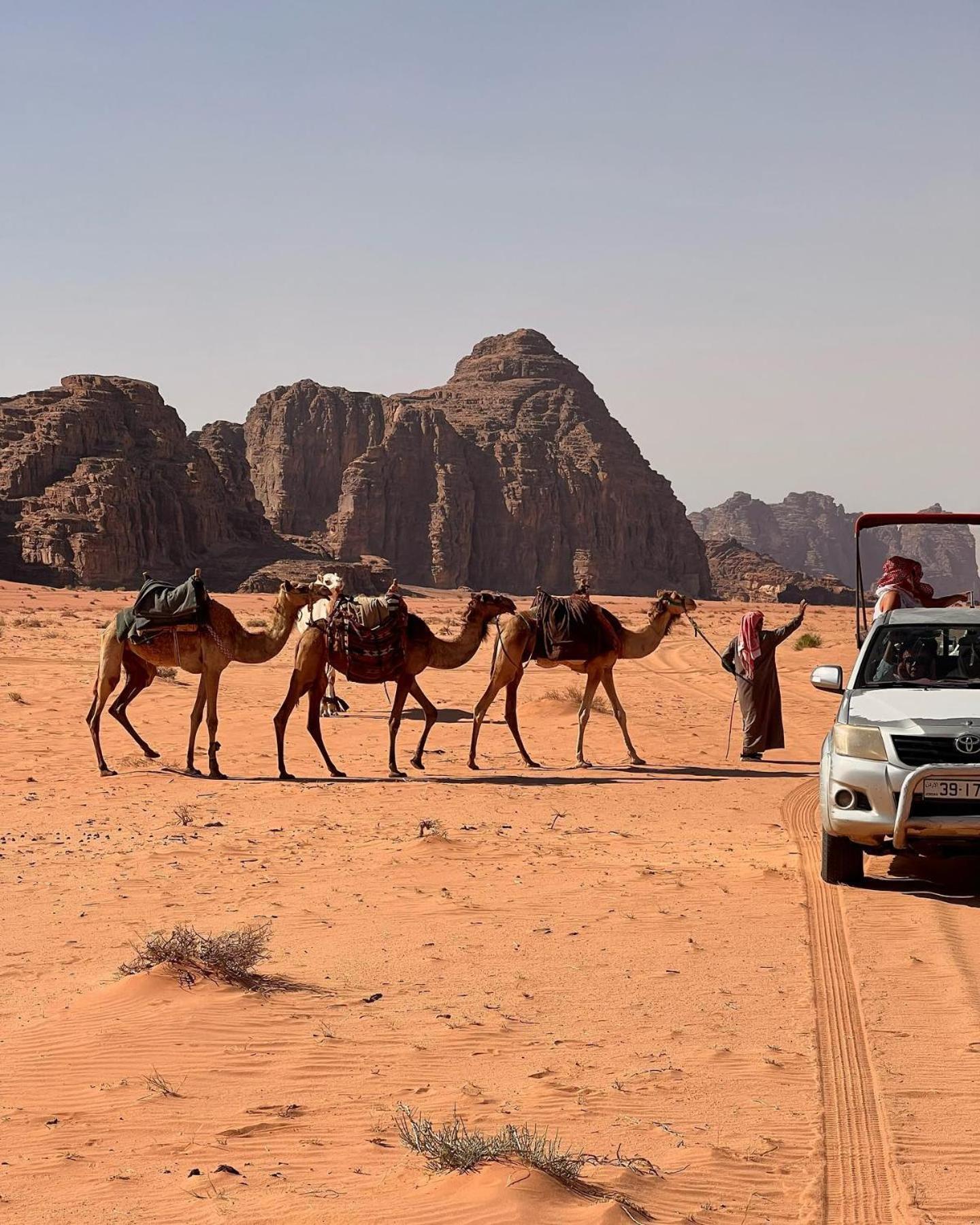 Daniela Camp Wadi Rum Exterior foto