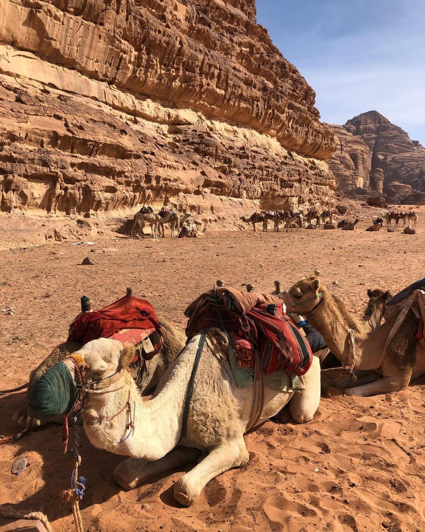 Daniela Camp Wadi Rum Exterior foto